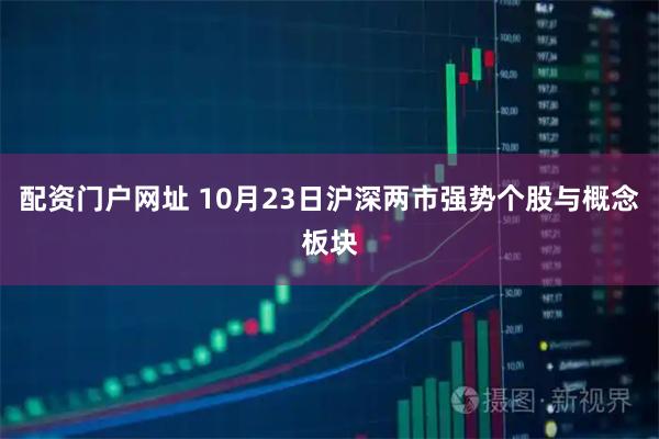 配资门户网址 10月23日沪深两市强势个股与概念板块